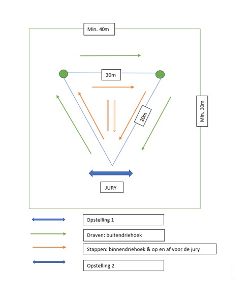 Schema voorstelling