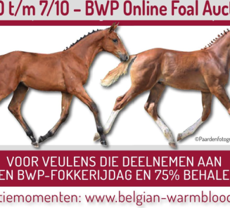 Online Foal Auction